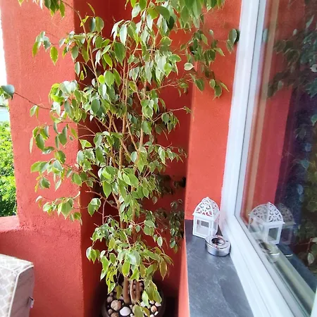 Appartamento The Maria - *